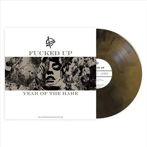 Year of the Hare cover art