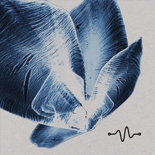 Oscillate Tracks 002 cover art