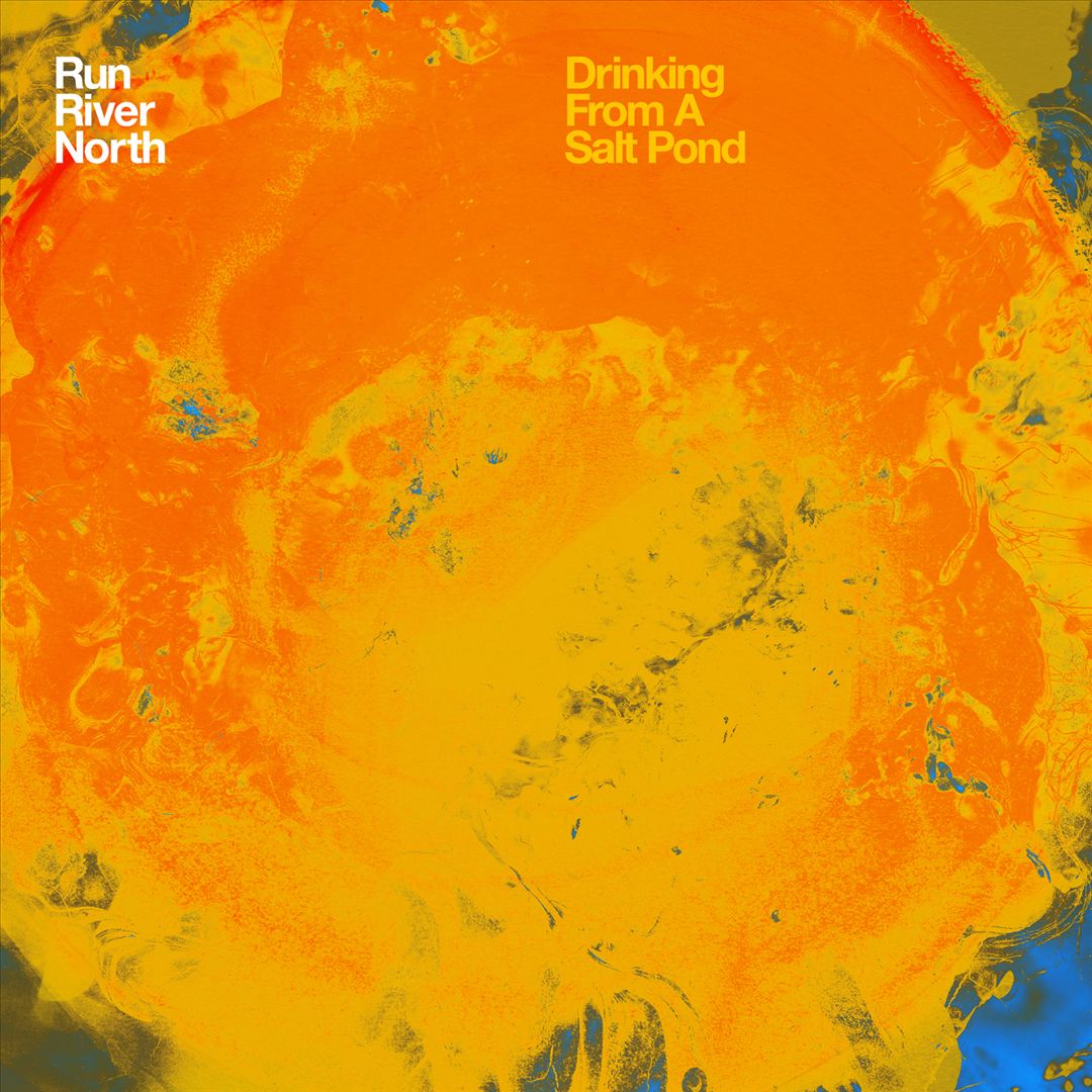 Drinking from a Salt Pond cover art