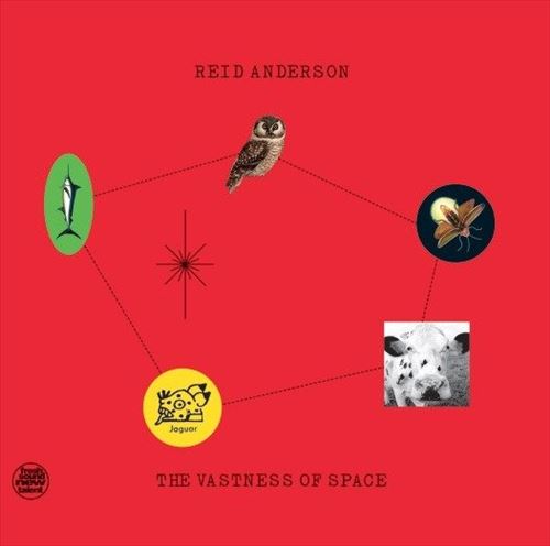Vastness of Space cover art