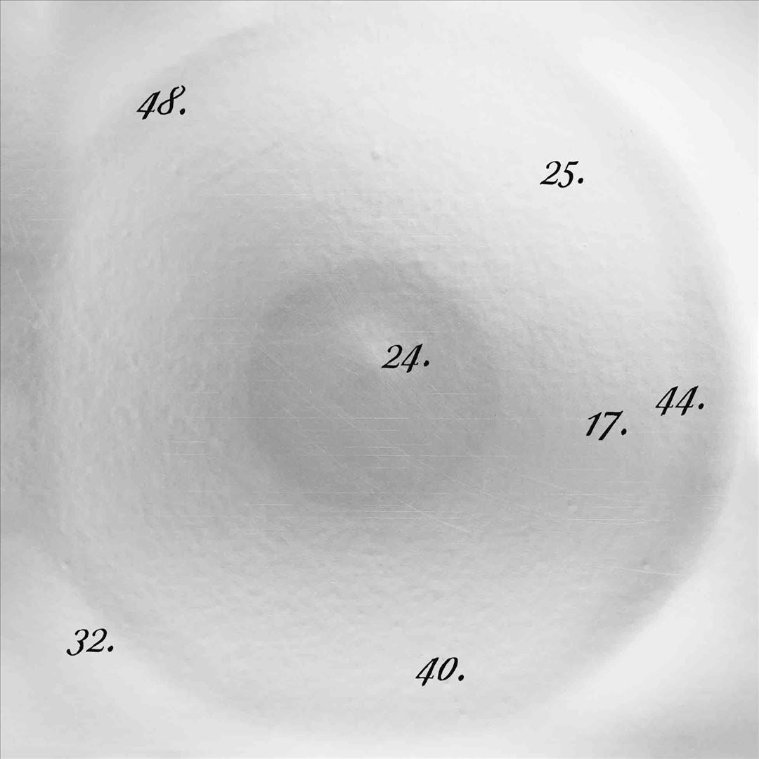 Discipline Through Sound [LP] cover art