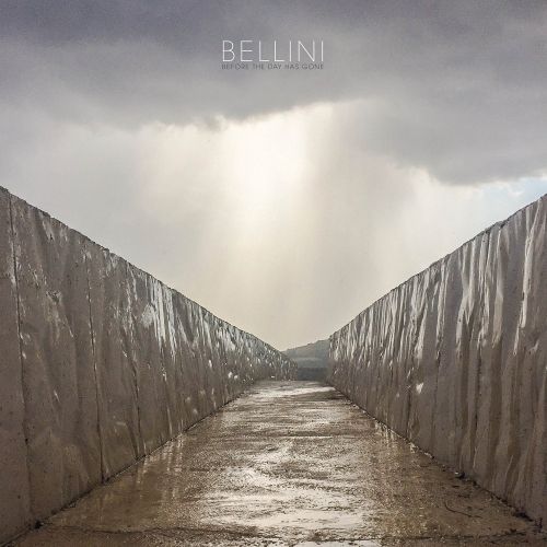 Before the Day Has Gone [Coloured Vinyl] cover art