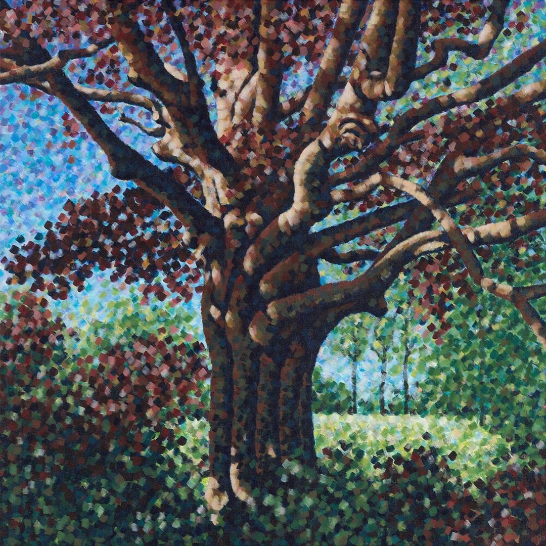 Songs for the Willow cover art