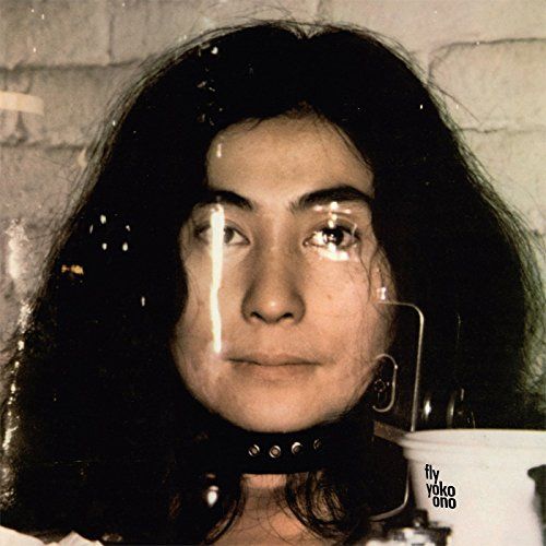 Fly cover art