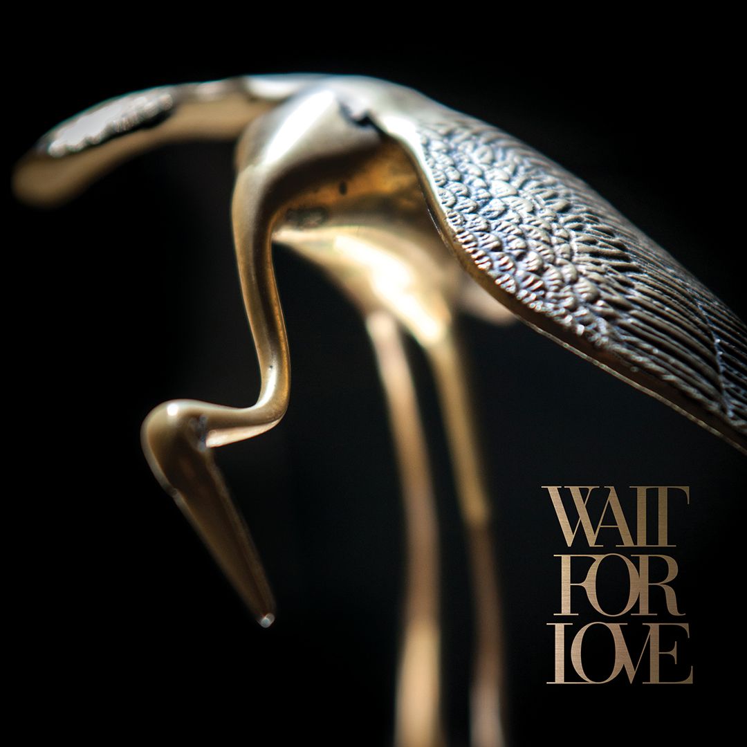 Wait for Love [Black Vinyl] cover art