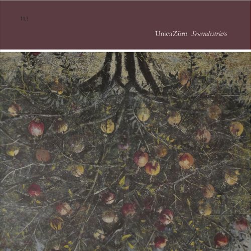 Sensudestricto cover art