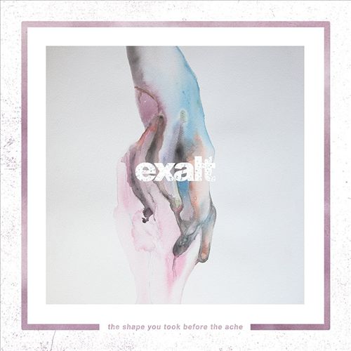 Shape You Took Before the Ache cover art