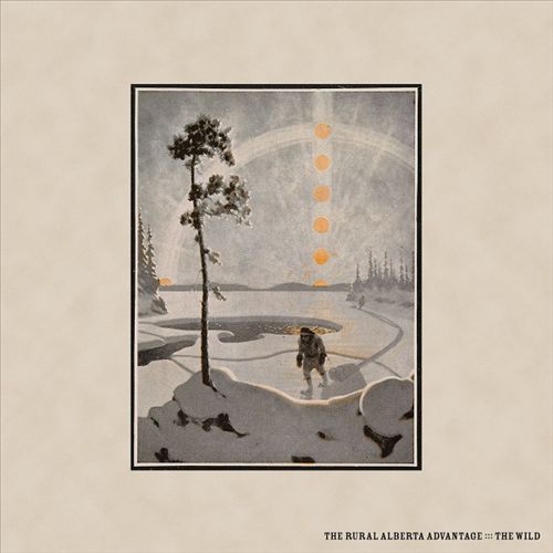 Wild cover art