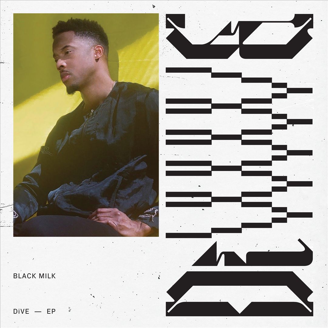 DiVE cover art