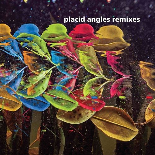 Touch the Earth [Remixes] cover art