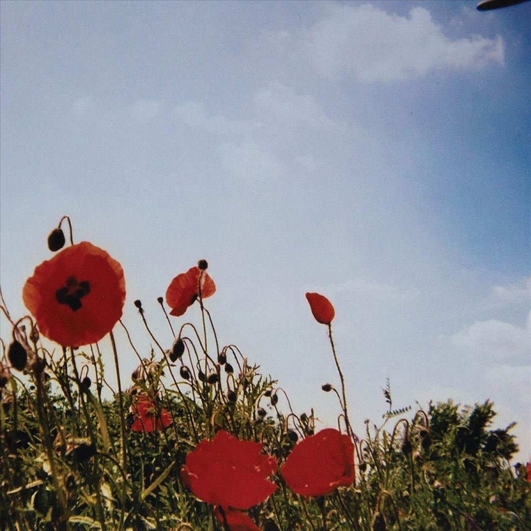 Bloem cover art