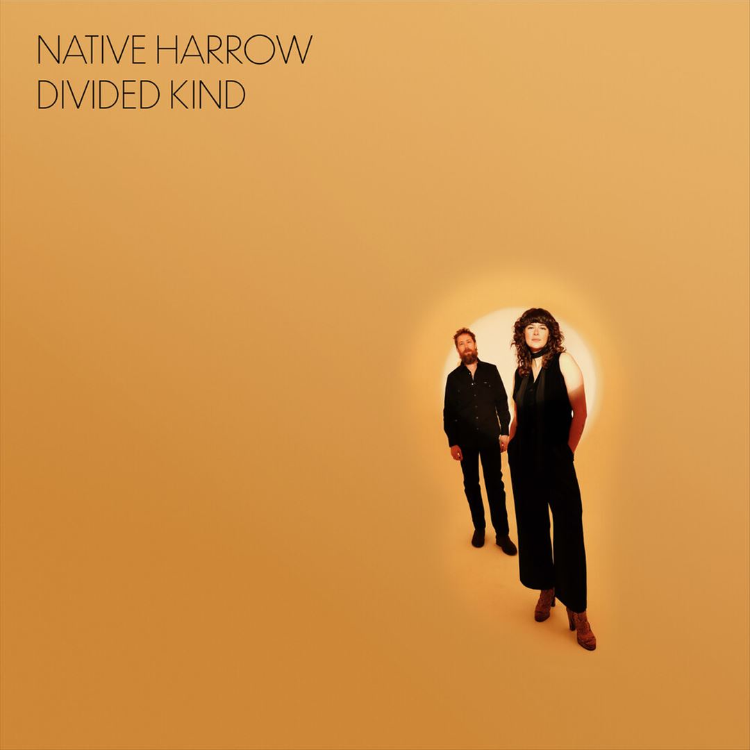 Divided Kind cover art