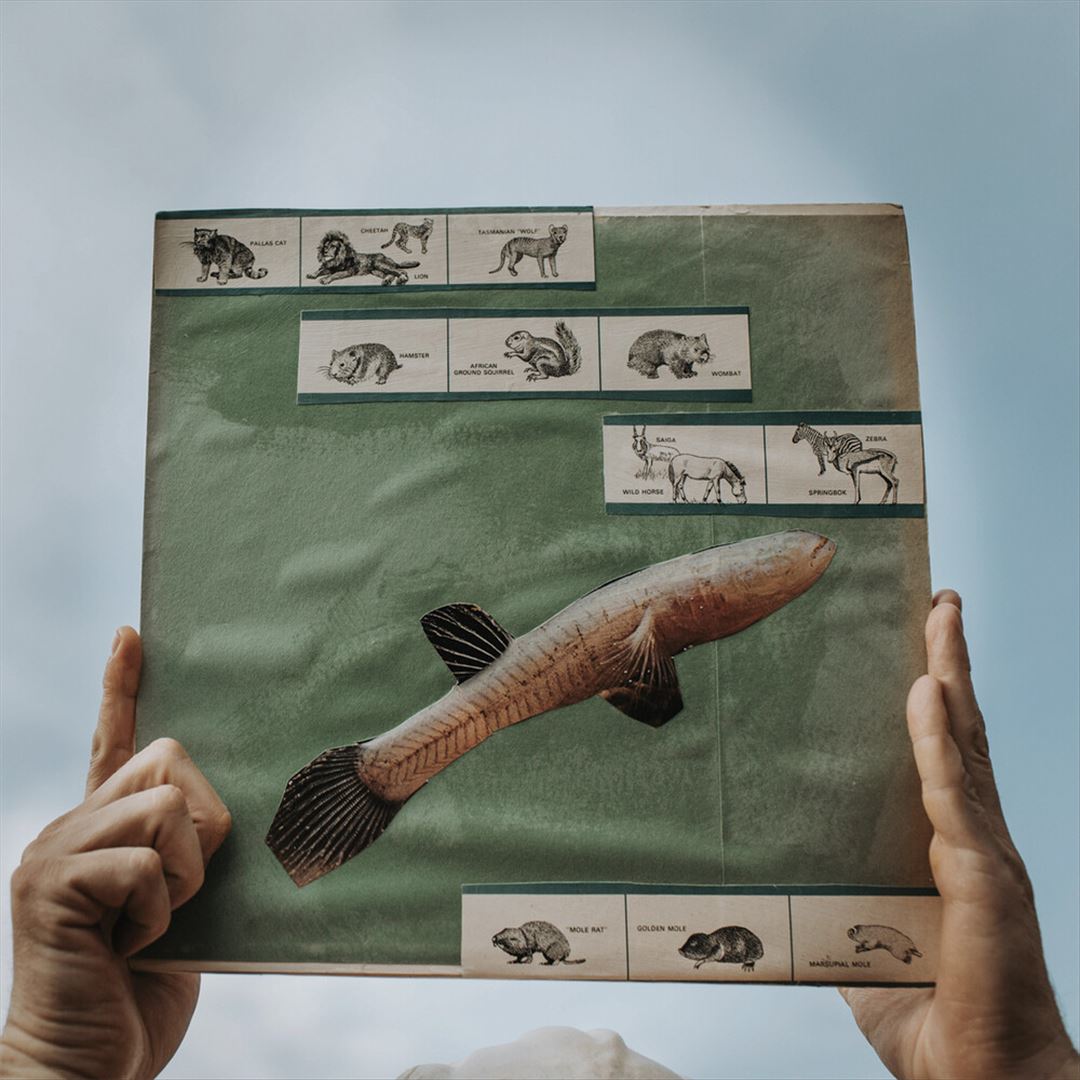 River Strumming cover art