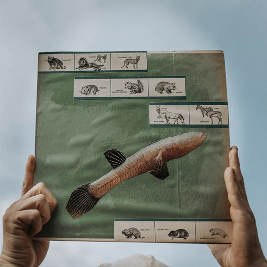 River Strumming cover art