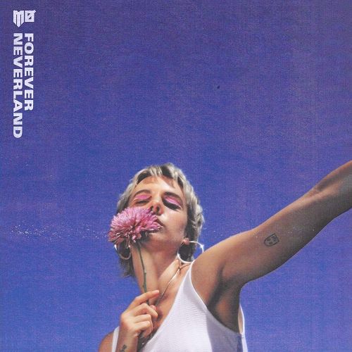 Forever Neverland cover art