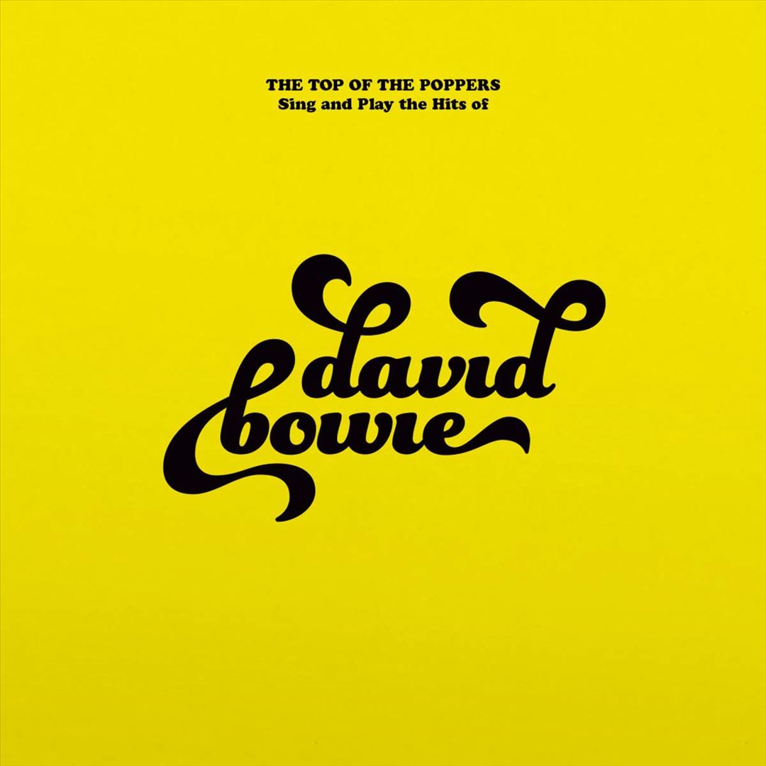 Sing and Play the Hits of David Bowie cover art