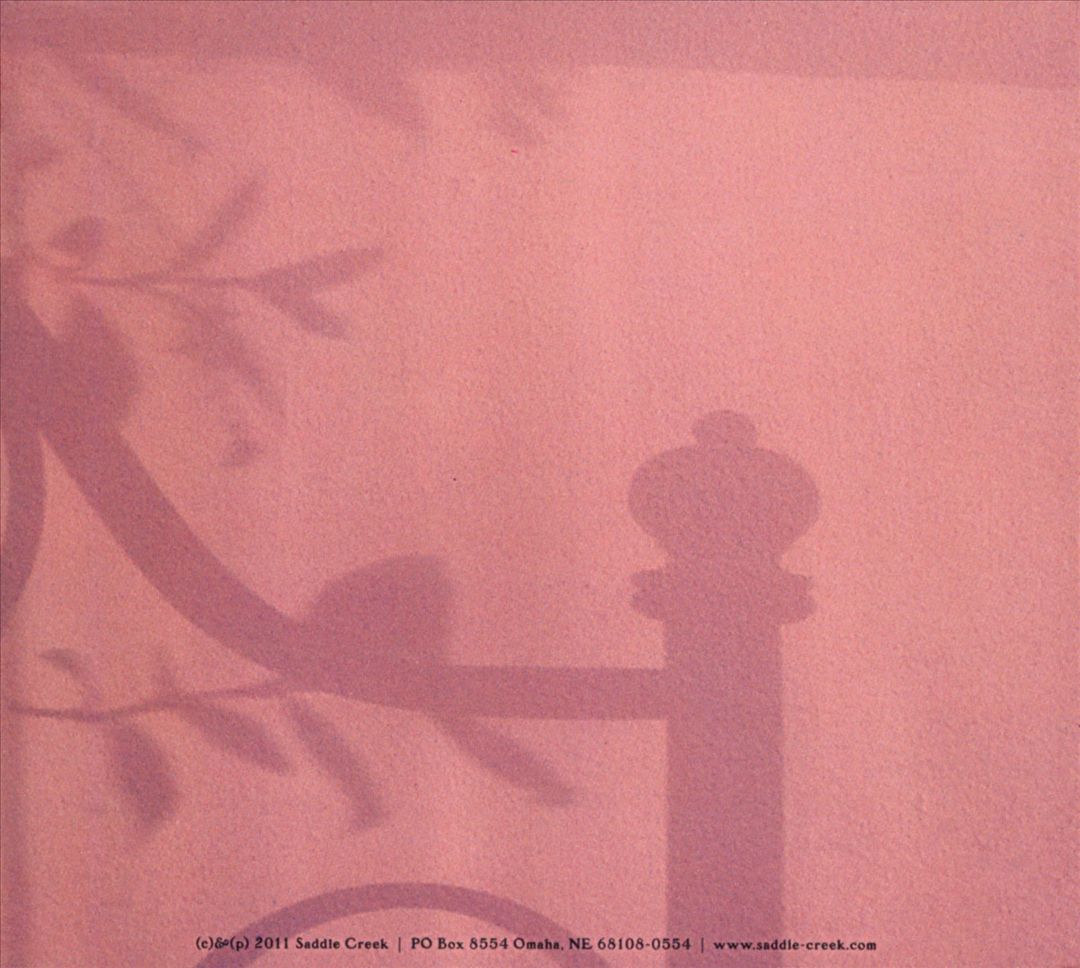 Overlook cover art