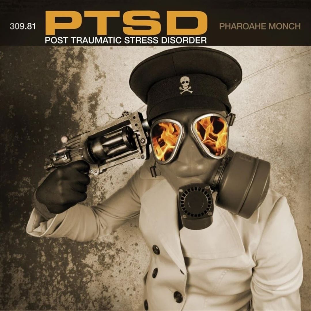 P.T.S.D.: Post Traumatic Stress Disorder cover art