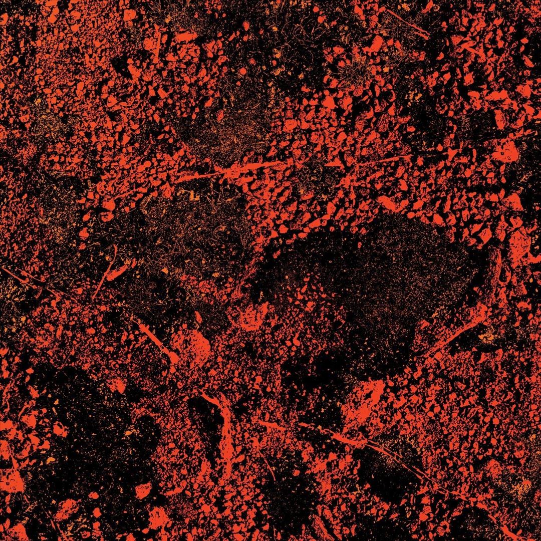 Murder of the Universe [Live at Red Rocks 2022] cover art