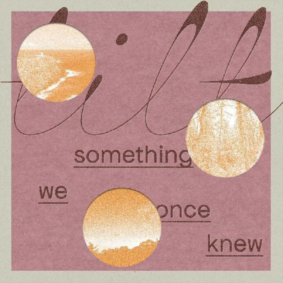 Something We Once Knew cover art