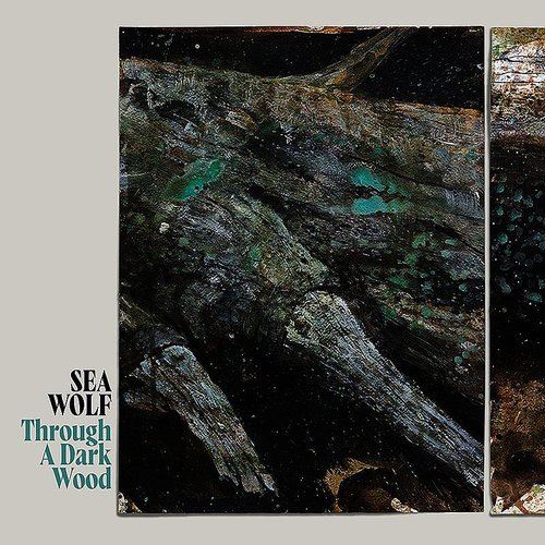 Through a Dark Wood [Deluxe Edition] cover art