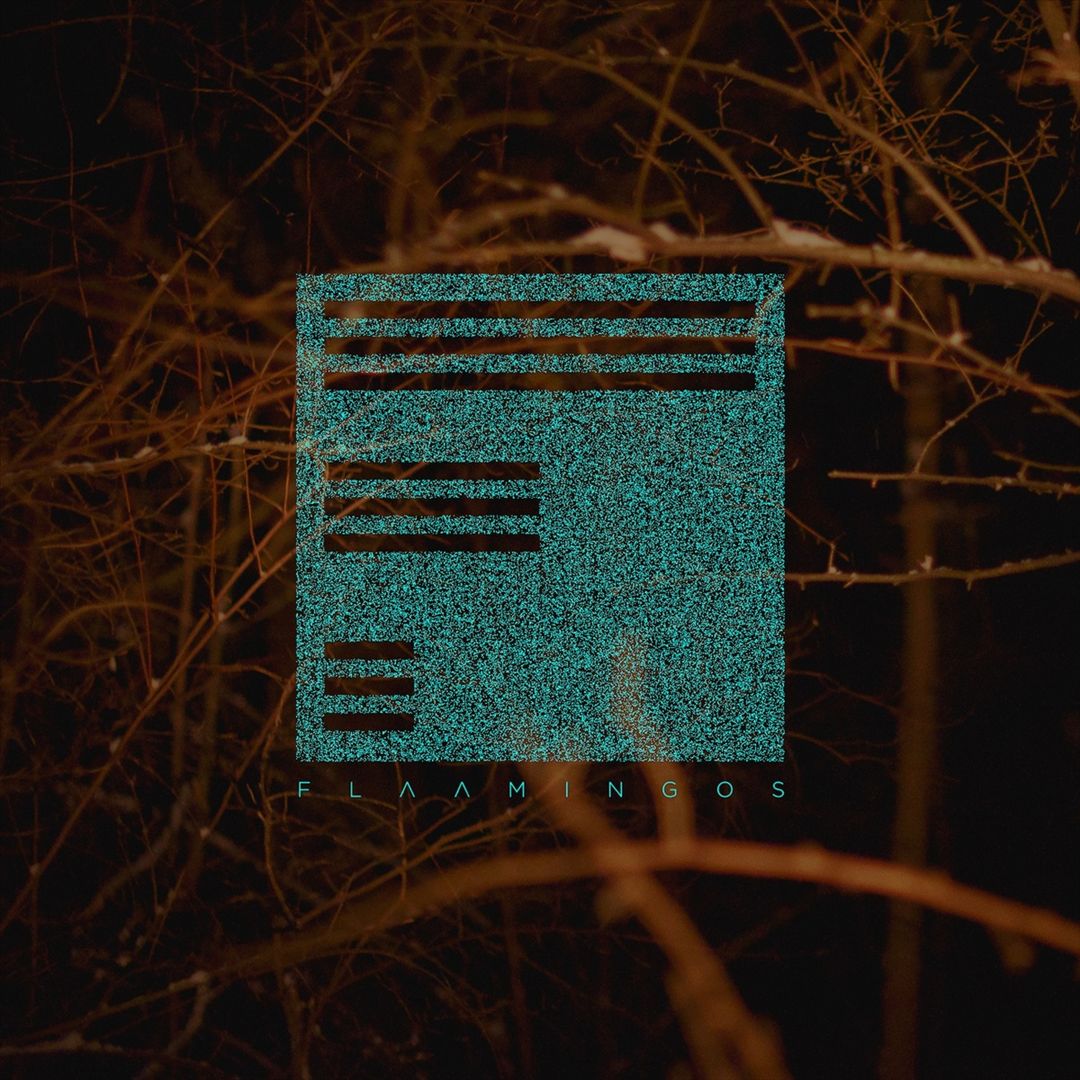 Flaamingos cover art