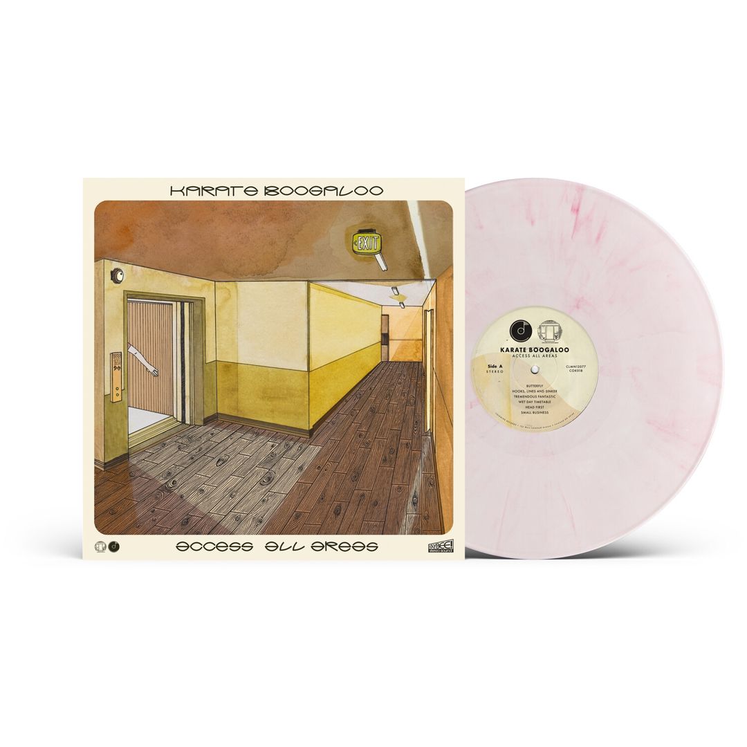 Access All Areas [Pink] cover art