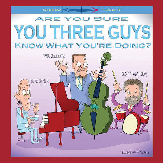 AreYou Sure You Three Guys Know What You're Doing? cover art