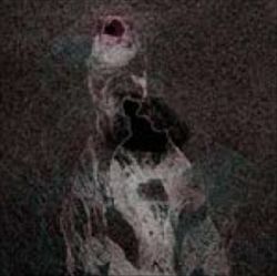 Empty Void cover art