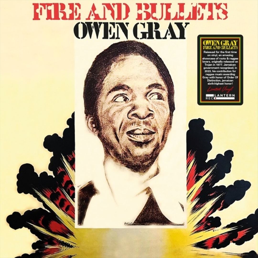 Fire and Bullets cover art