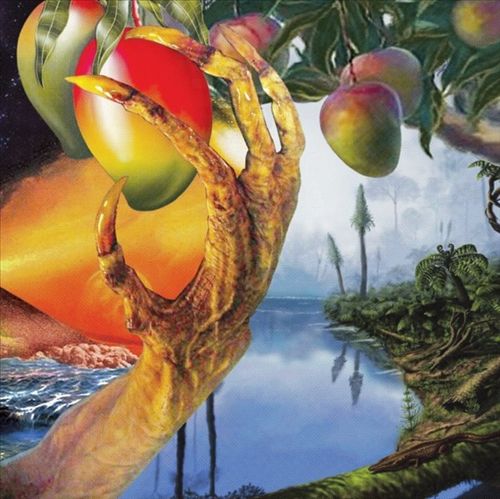 Morphology of Wonders cover art