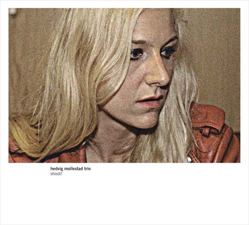Shoot! cover art