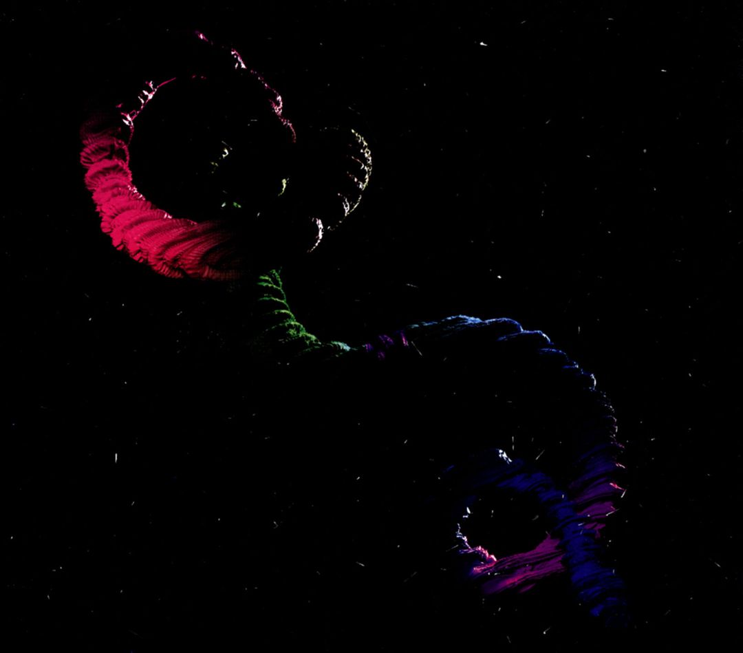 Snake cover art