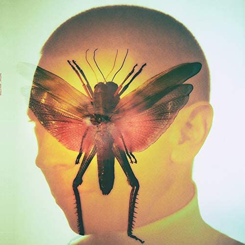 Rhizome cover art