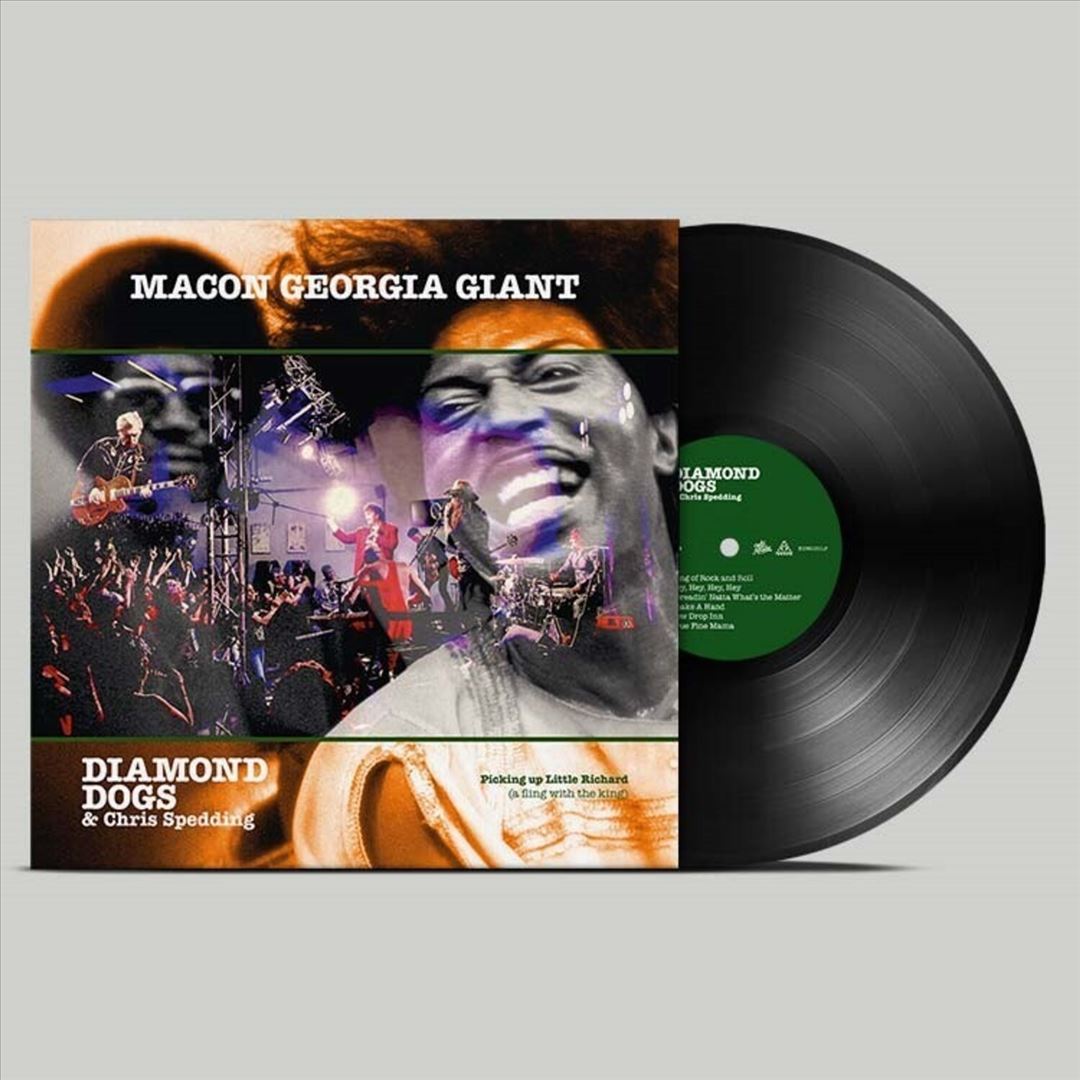 Macon Georgia Giants cover art