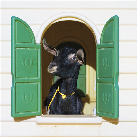 Wild Loneliness [Green & Yellow Vinyl] cover art