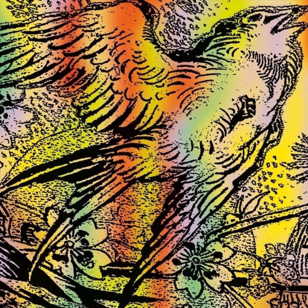 One Swallow Doesn't Make a Sum cover art