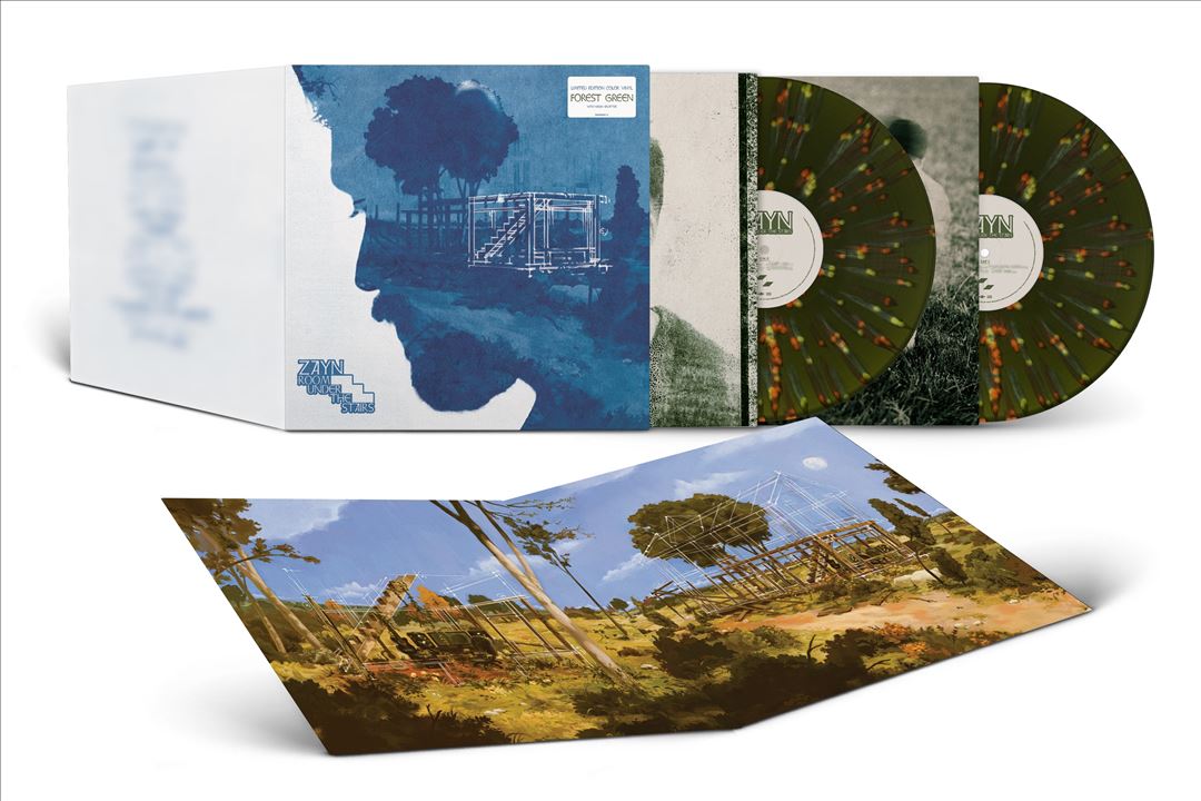ROOM UNDER THE STAIRS [Forest Green/Neon Splatter 2 LP] cover art