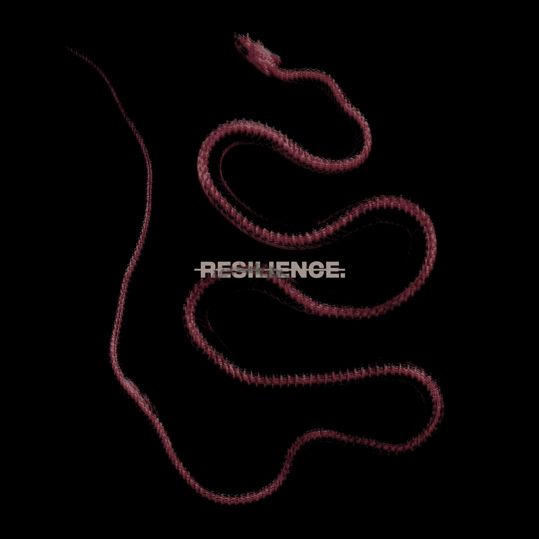 Resilience. cover art