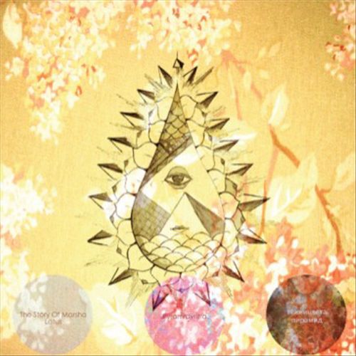 Story of Marsha Lotus cover art