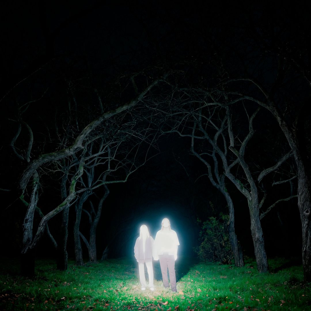 Losey cover art