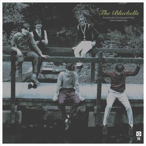 Everybody's Somebody's Fool cover art