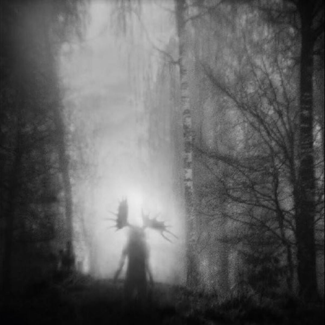 From the Infinite Light cover art