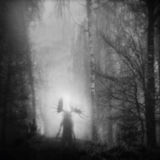 From the Infinite Light cover art