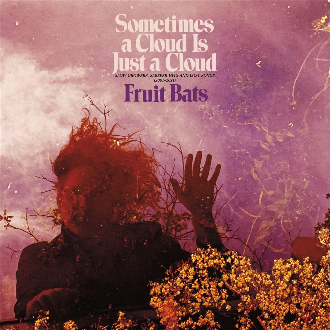 Sometimes a Cloud Is Just a Cloud: Slow Growers, Sleeper Hits and Lost Songs (2001-2021) cover art