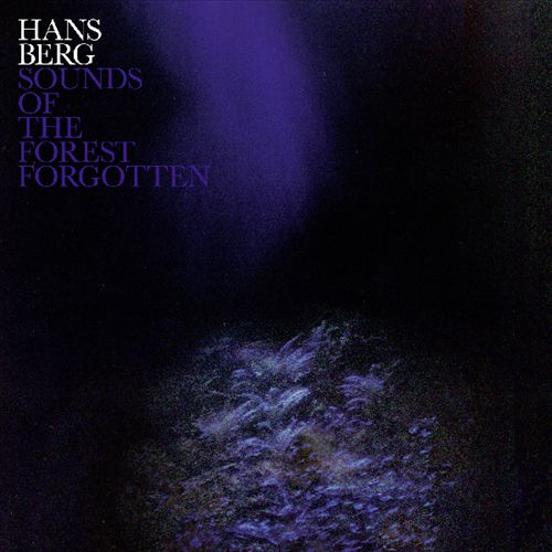 Sounds of the Forest Forgotten cover art