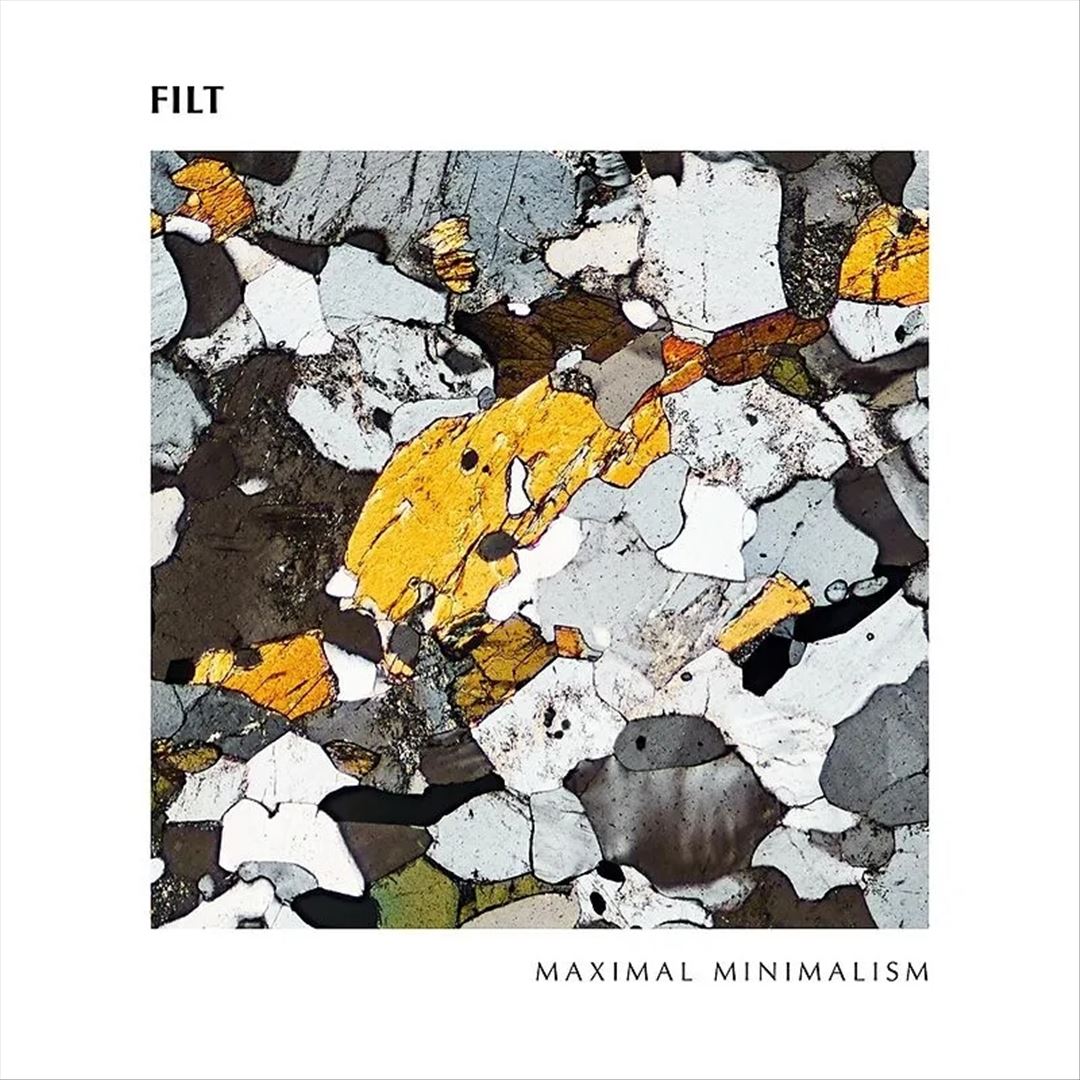 Maximal Minimalism cover art