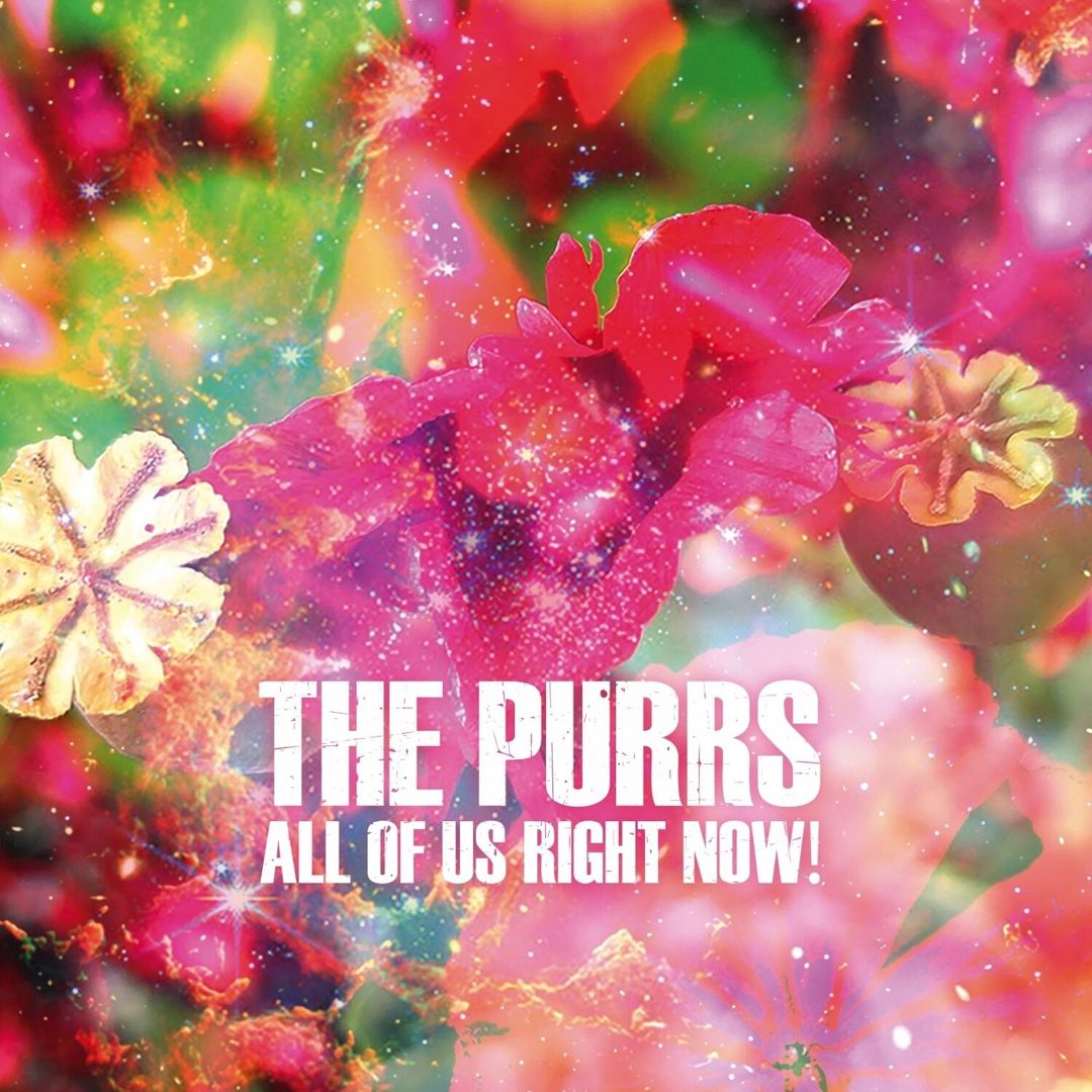 All of Us Right Now! cover art