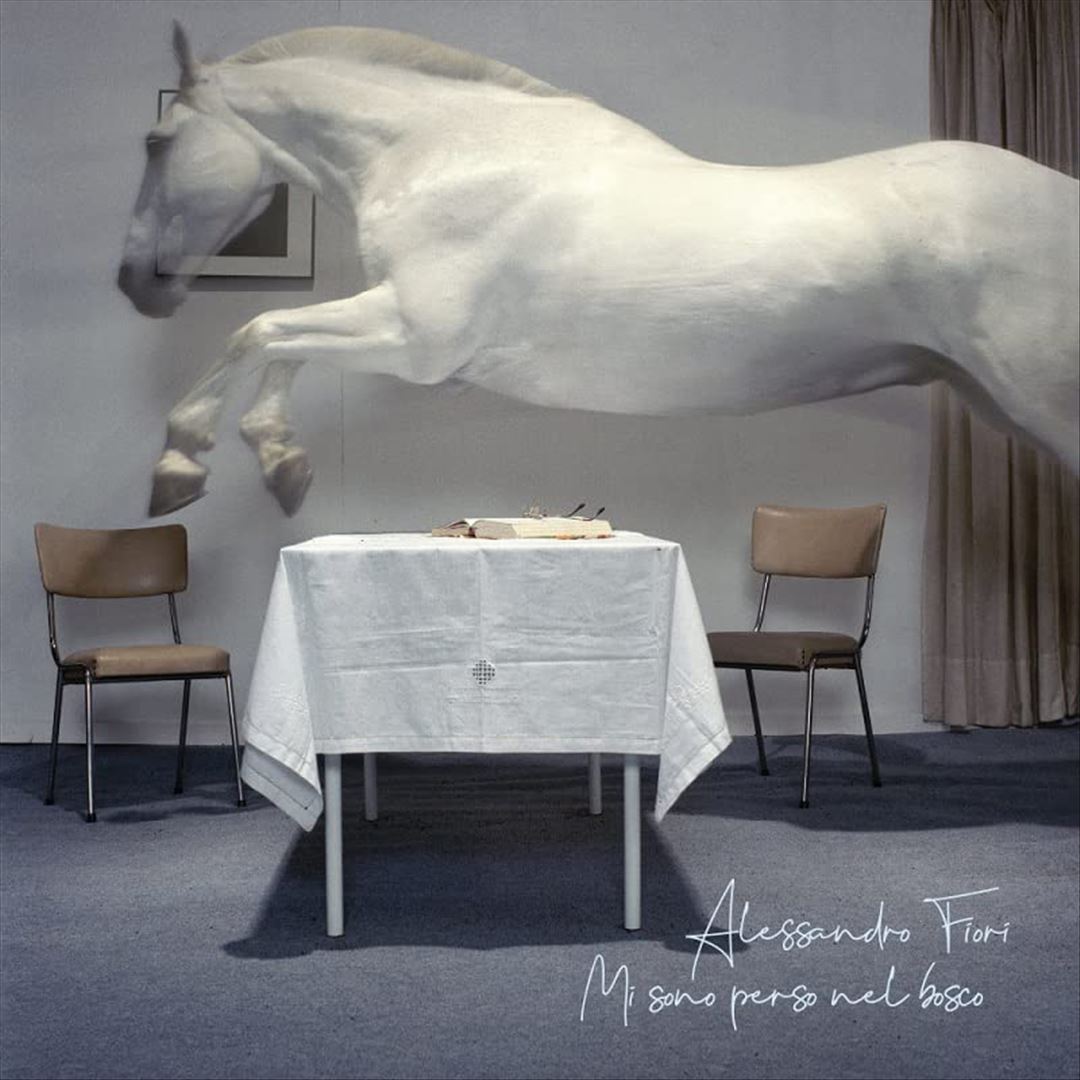 Mi Sono Perso Nel Bosco cover art