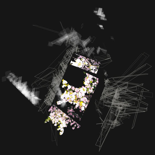 Capture & Release cover art